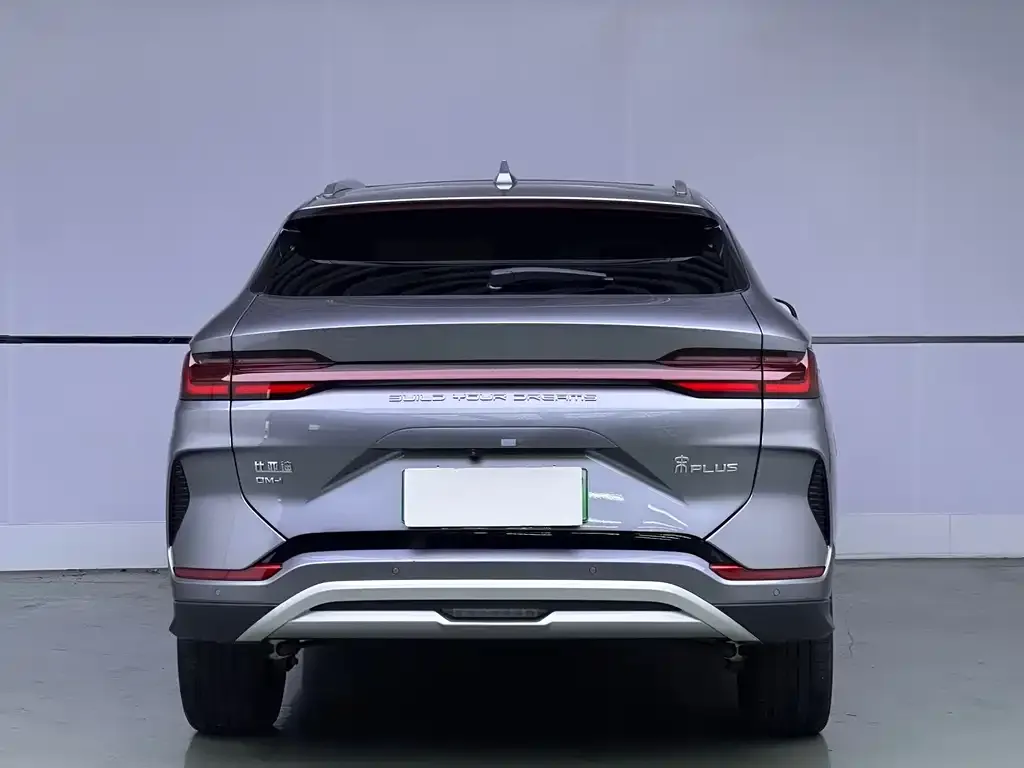 BYD PLUS New Energy 2024 из CN, фото 4