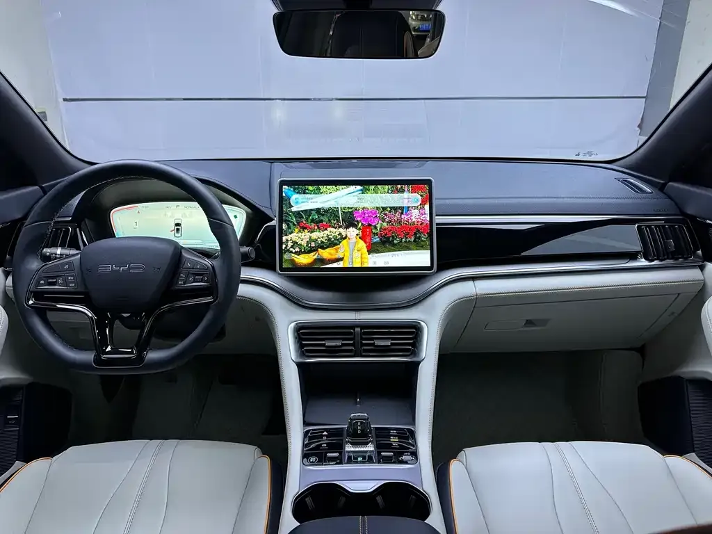 BYD PLUS New Energy 2024 из CN, фото 10