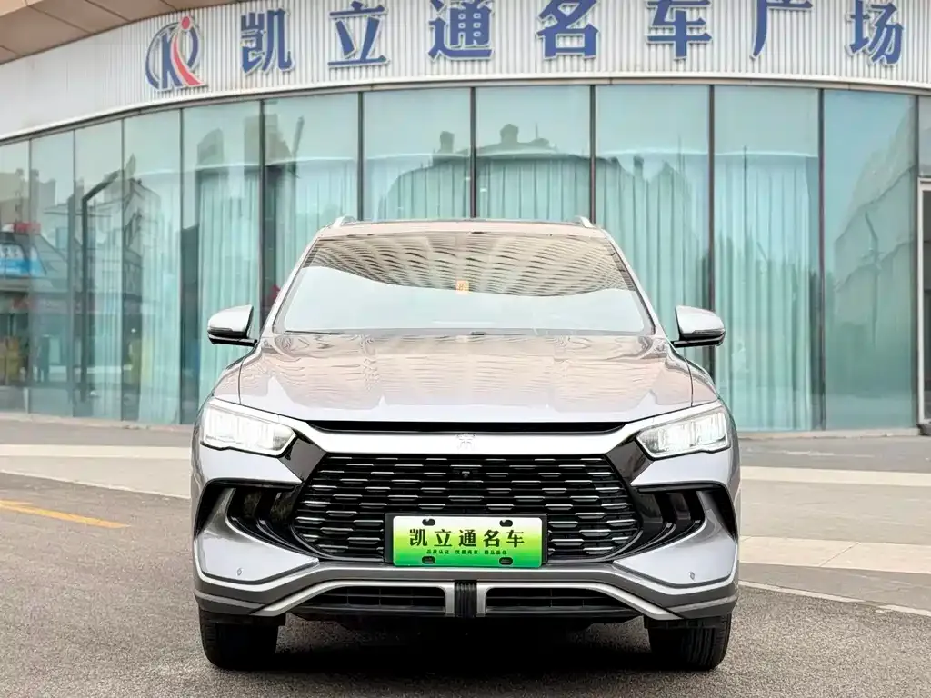 BYD Pro New Energy — фото 3