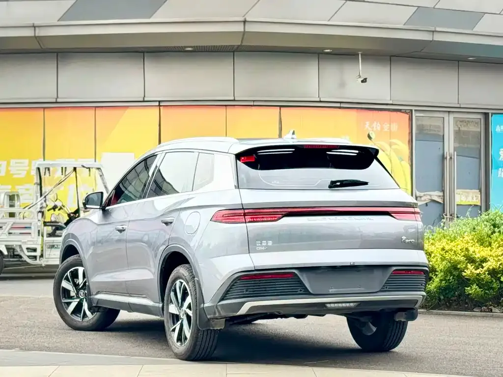 BYD Pro New Energy — фото 10