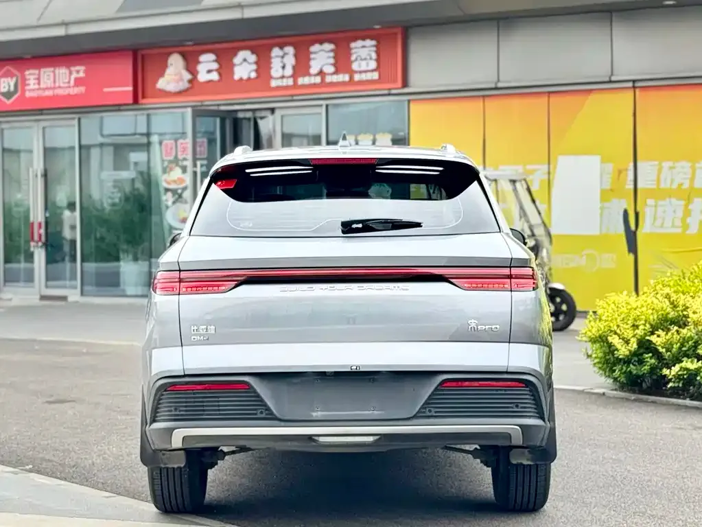 BYD Pro New Energy — фото 6