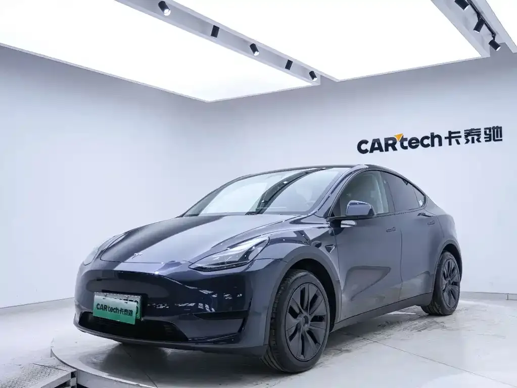 Tesla Model Y — фото 3