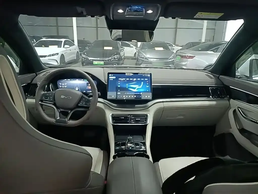 BYD PLUS New Energy — фото 8