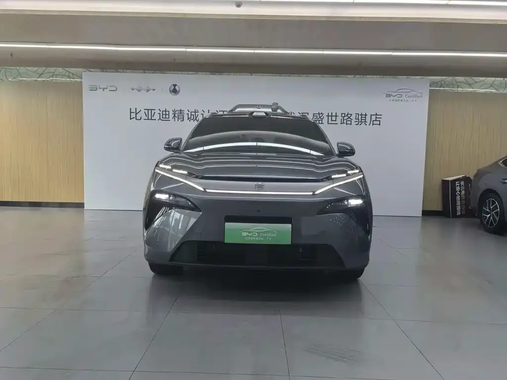 BYD Tang L — фото 3