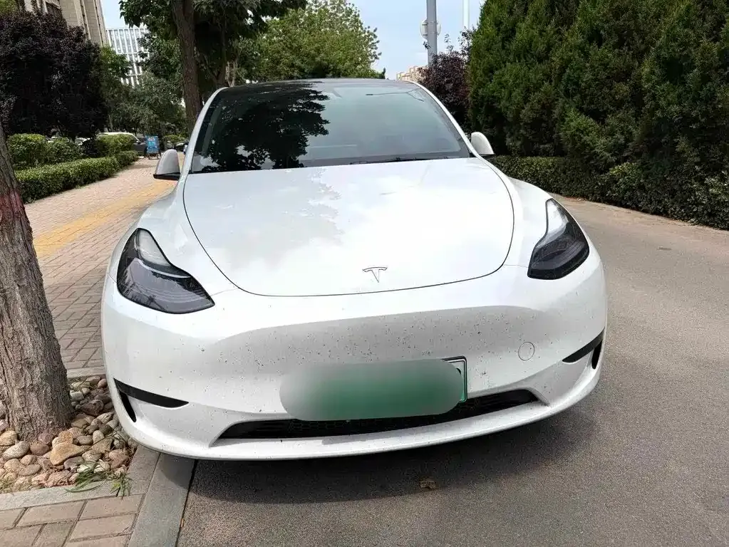 Tesla Model Y — фото 1