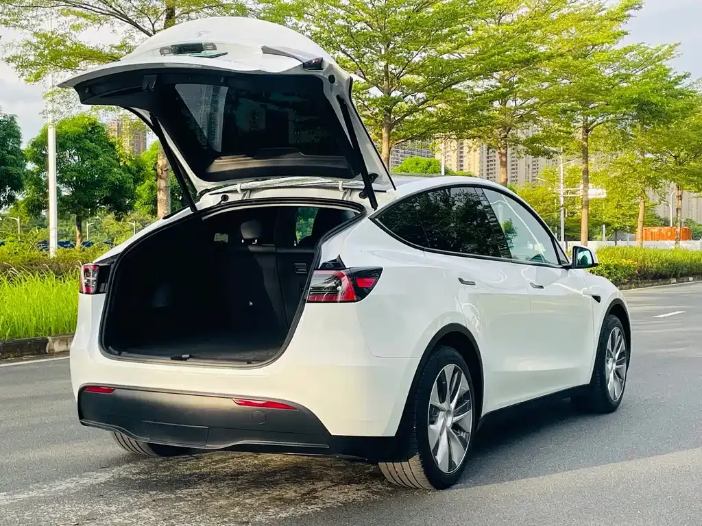 Tesla Model Y — фото 4