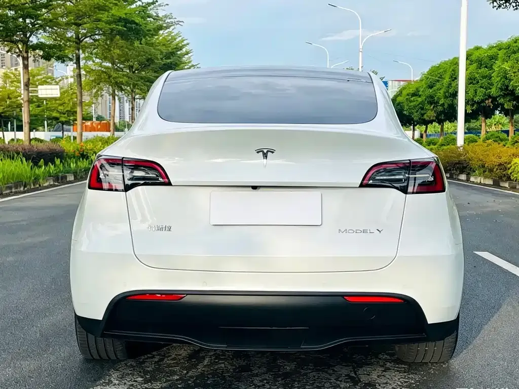 Tesla Model Y — фото 5