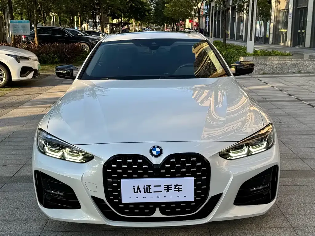 BMW 4 Series — фото 7