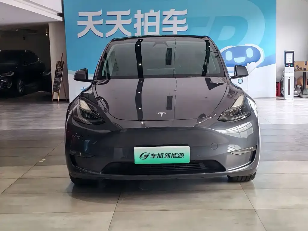 Tesla Model Y — фото 2