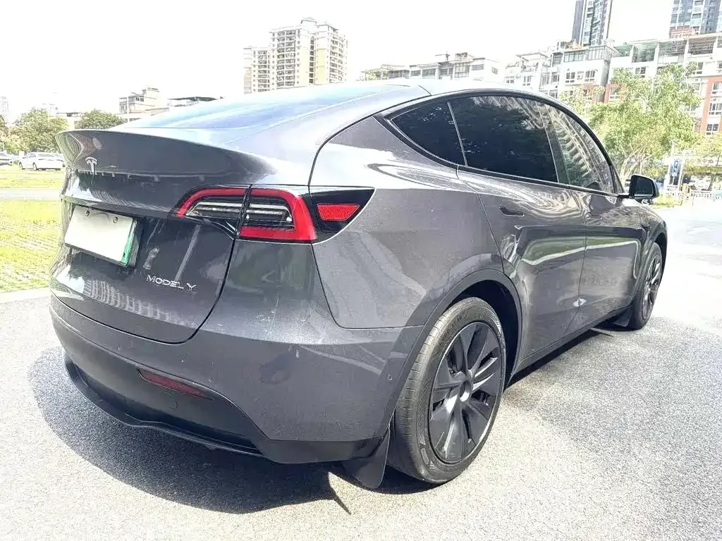 Tesla Model Y — фото 8