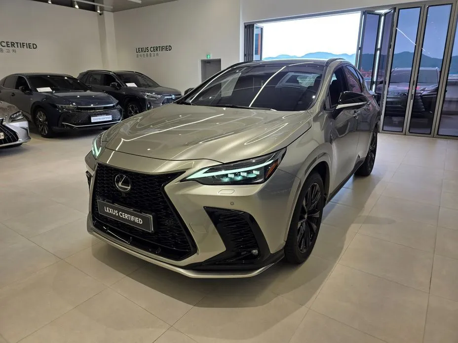 Lexus NX F-Sport 1