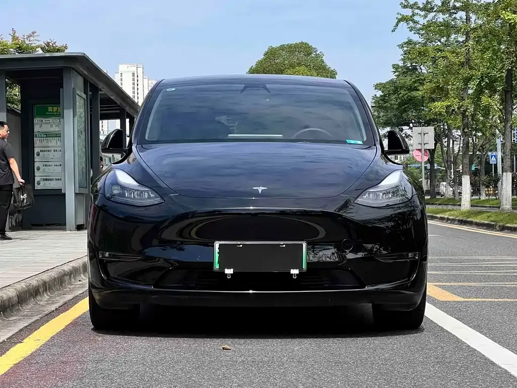 Tesla Model Y — фото 9