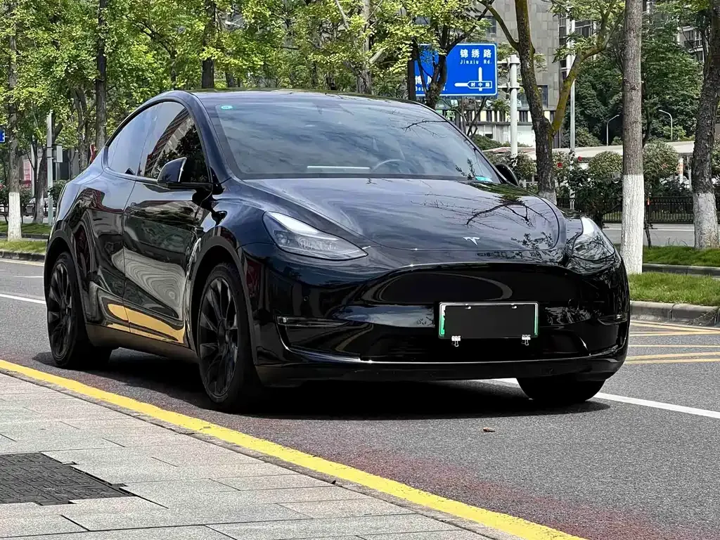Tesla Model Y — фото 10