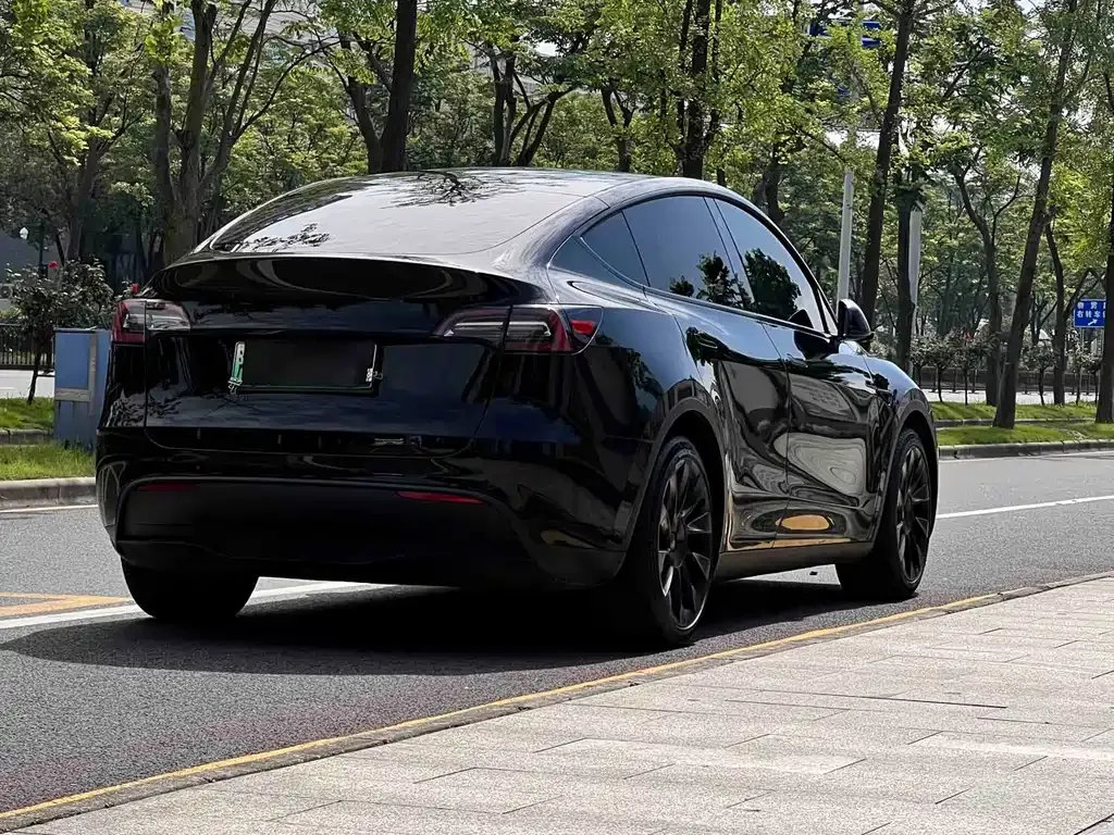 Tesla Model Y — фото 6