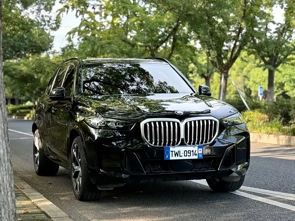 BMW X5 — фото 9