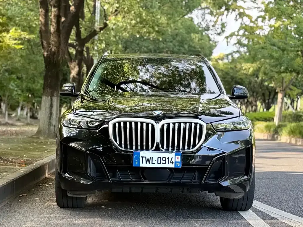 BMW X5 — фото 8