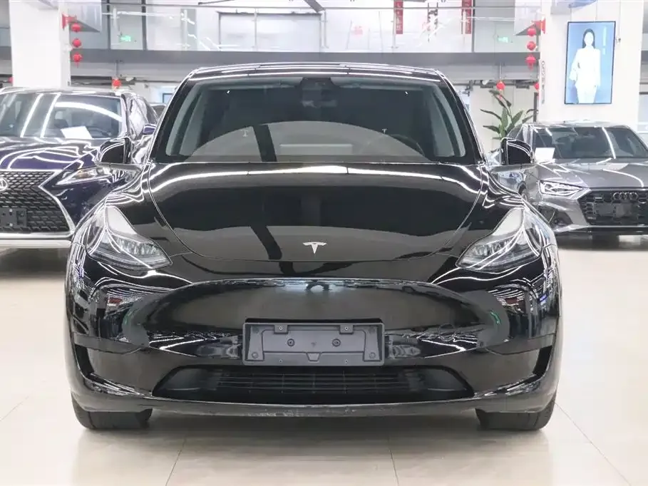 Tesla Model Y — фото 10