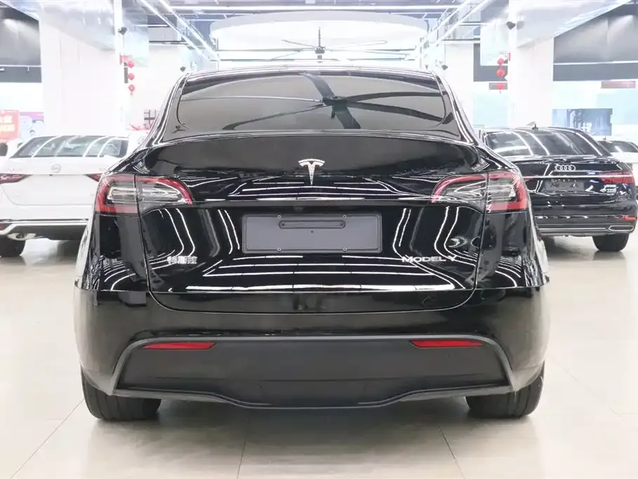 Tesla Model Y — фото 9