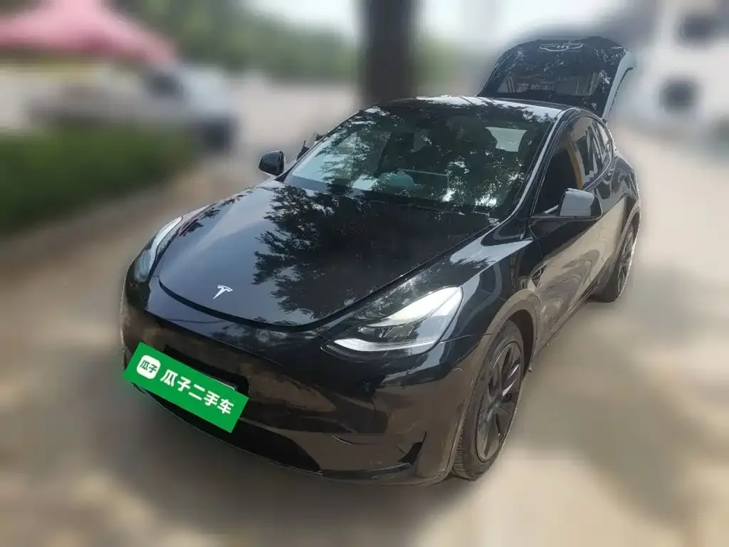 Tesla Model Y — фото 8