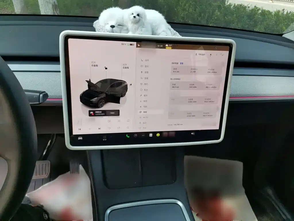 Tesla Model Y — фото 6