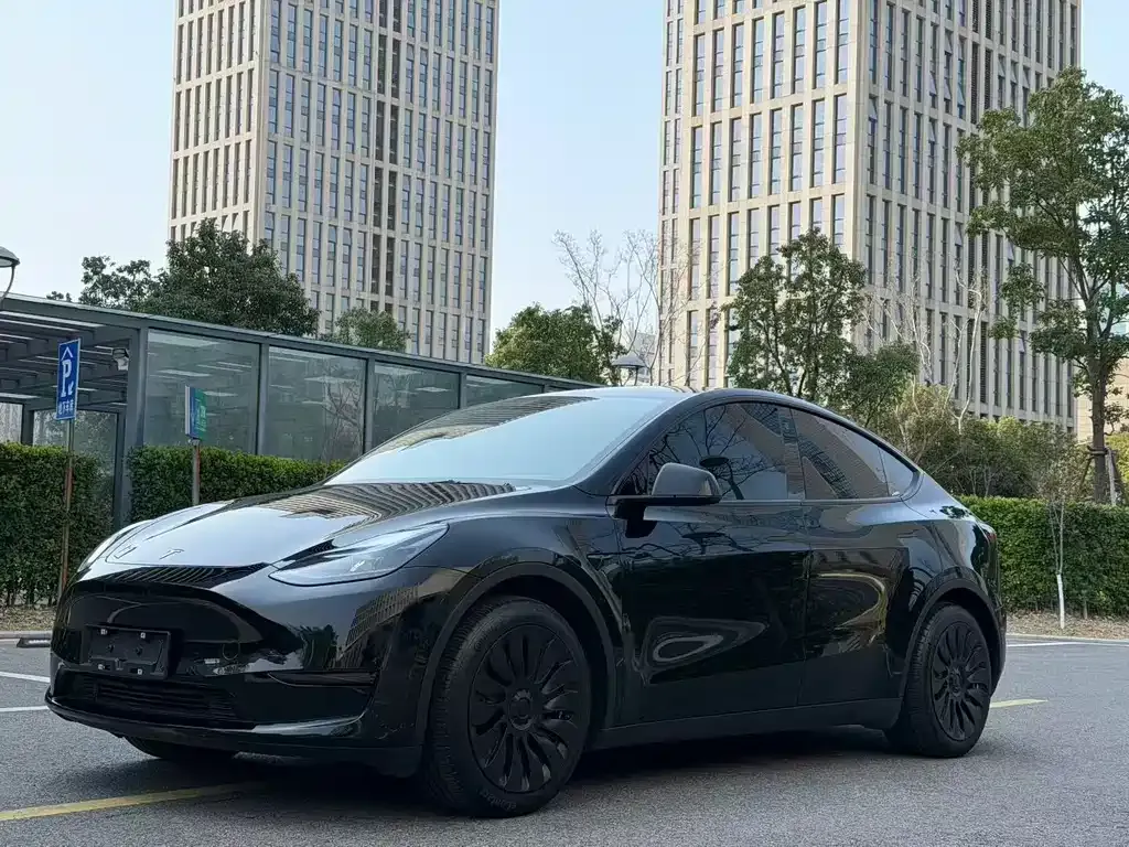 Tesla Model Y — фото 1