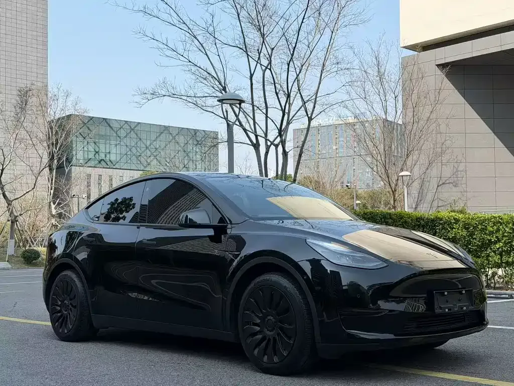 Tesla Model Y — фото 8