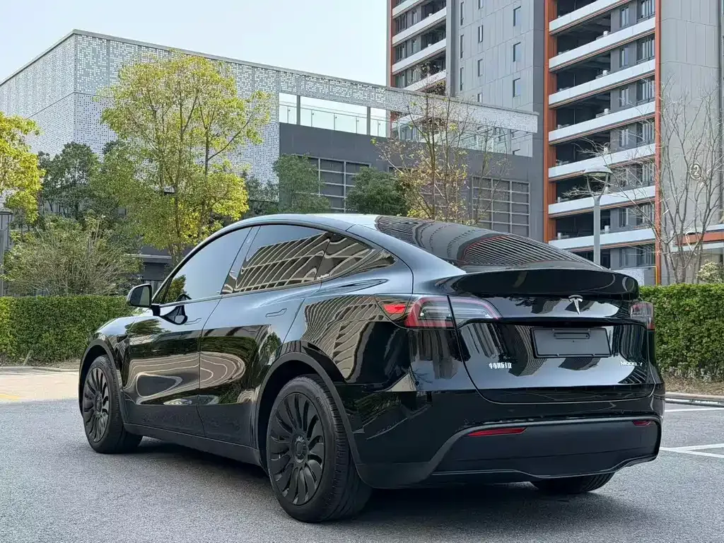 Tesla Model Y — фото 10
