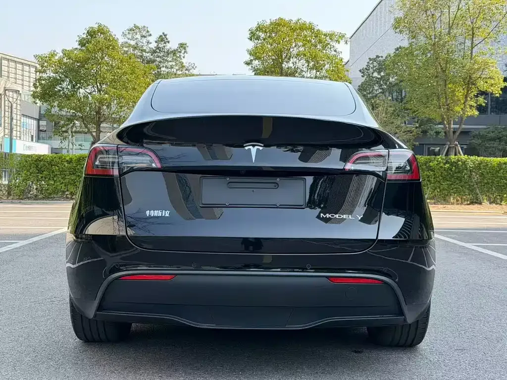 Tesla Model Y — фото 6