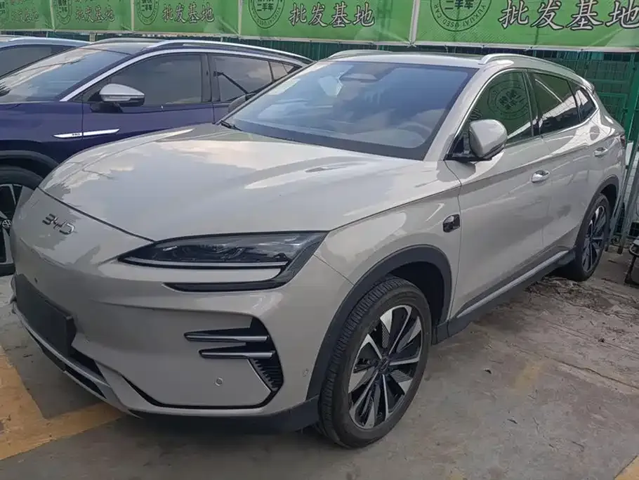 BYD PLUS New Energy — фото 1