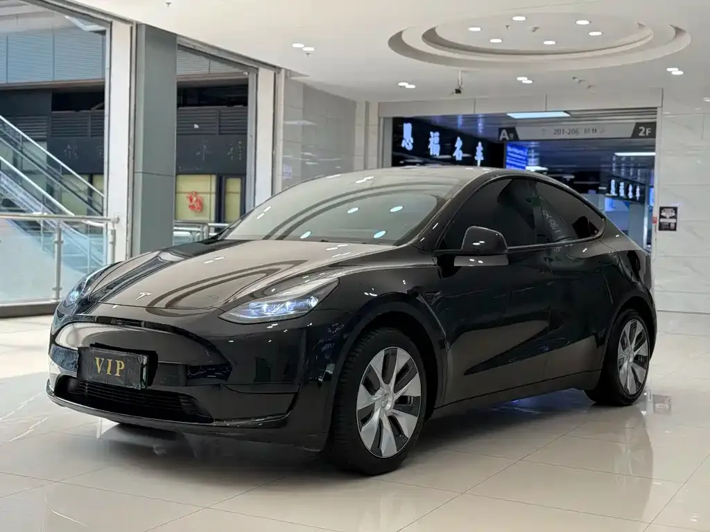 Tesla Model Y — фото 1
