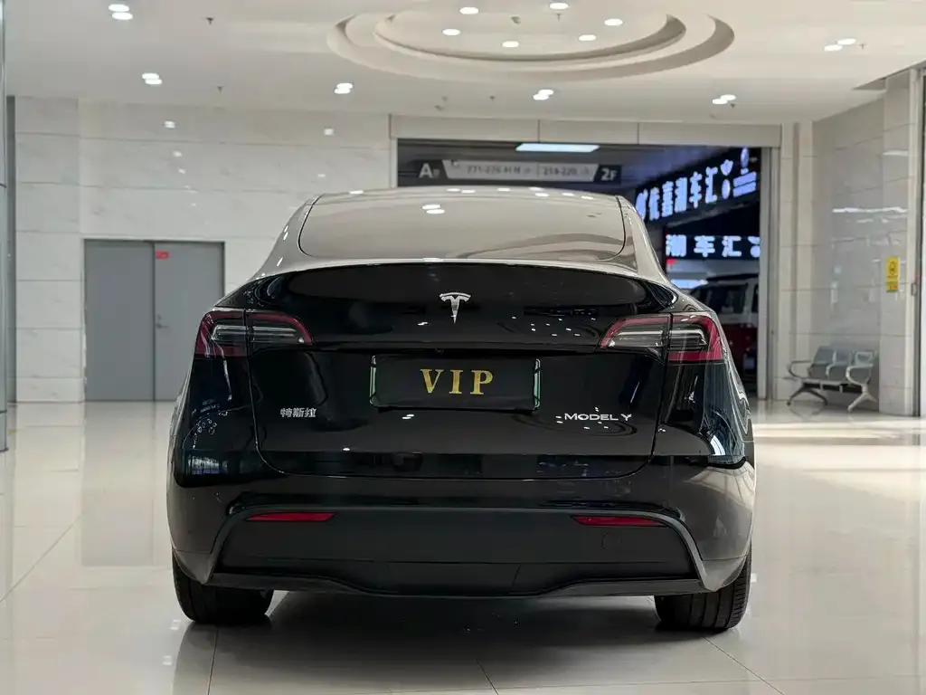 Tesla Model Y — фото 2