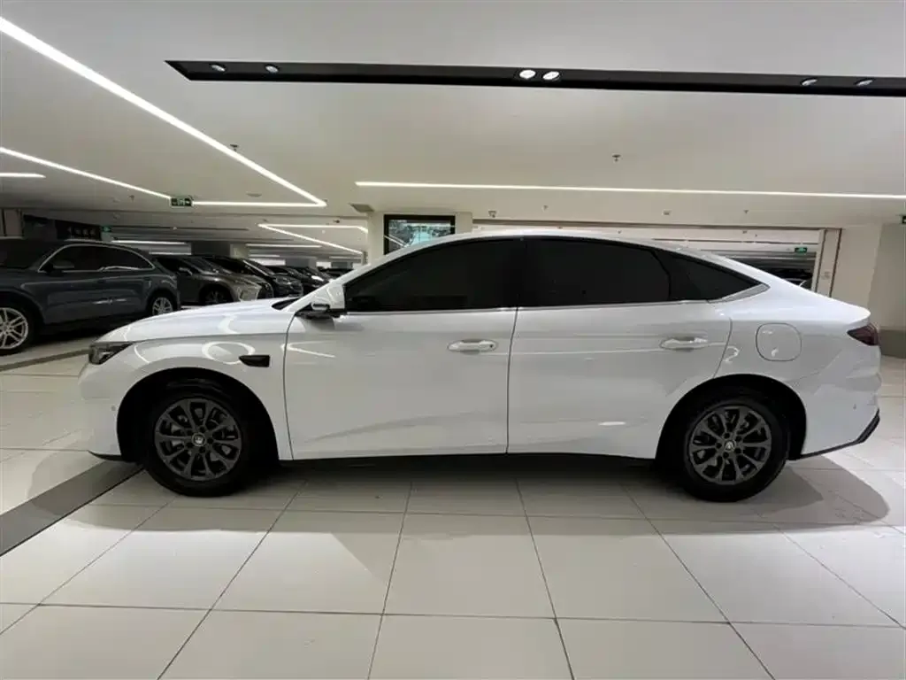 BYD Qin L — фото 5