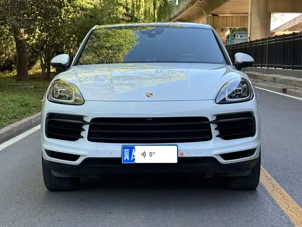 Porsche Cayenne — фото 5