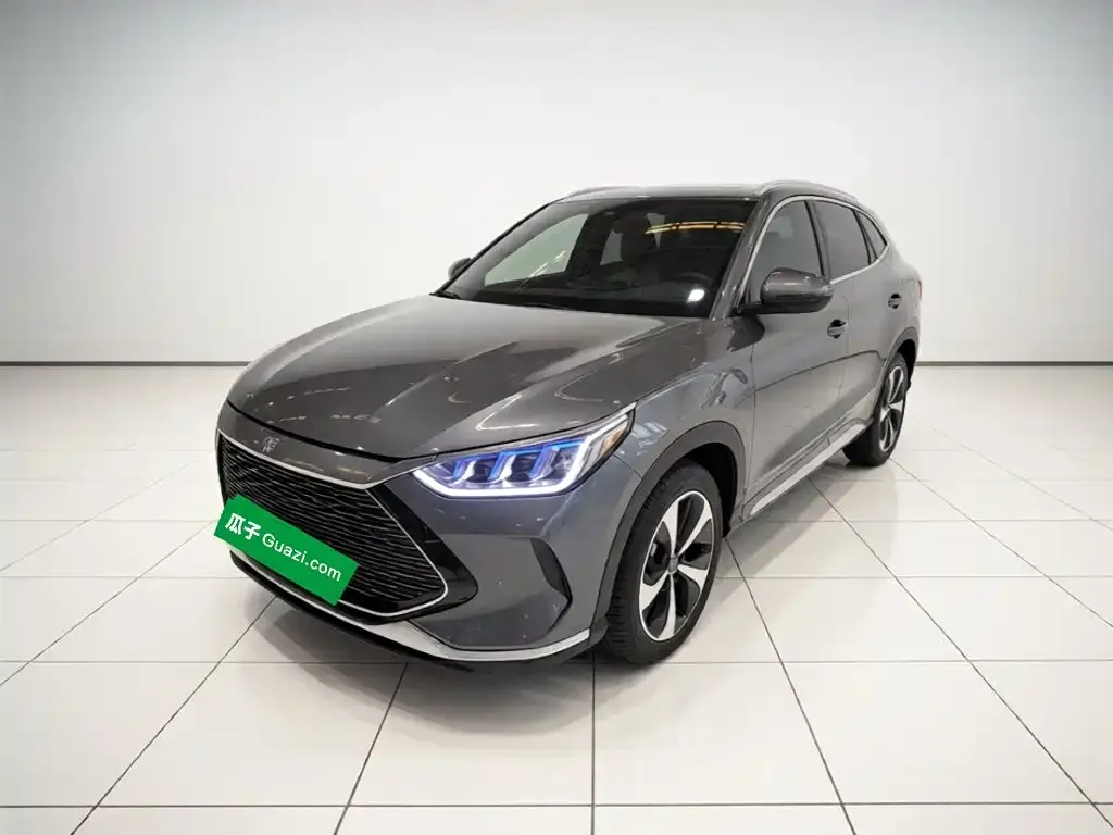 BYD PLUS New Energy — фото 1