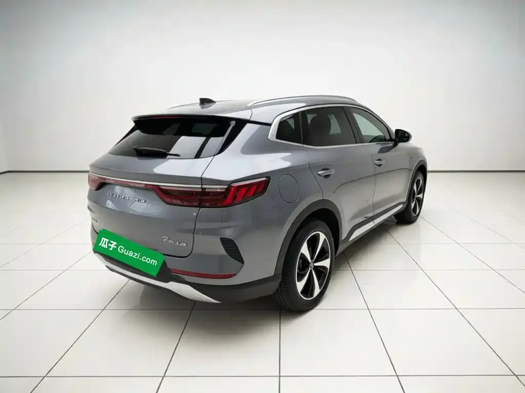 BYD PLUS New Energy — фото 5
