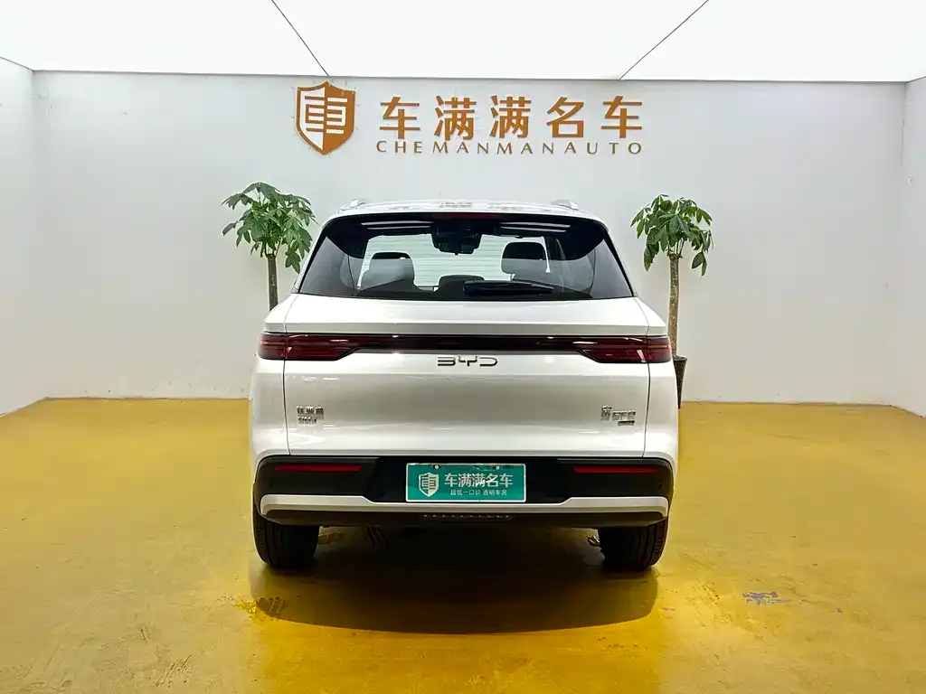 BYD Pro New Energy — фото 5