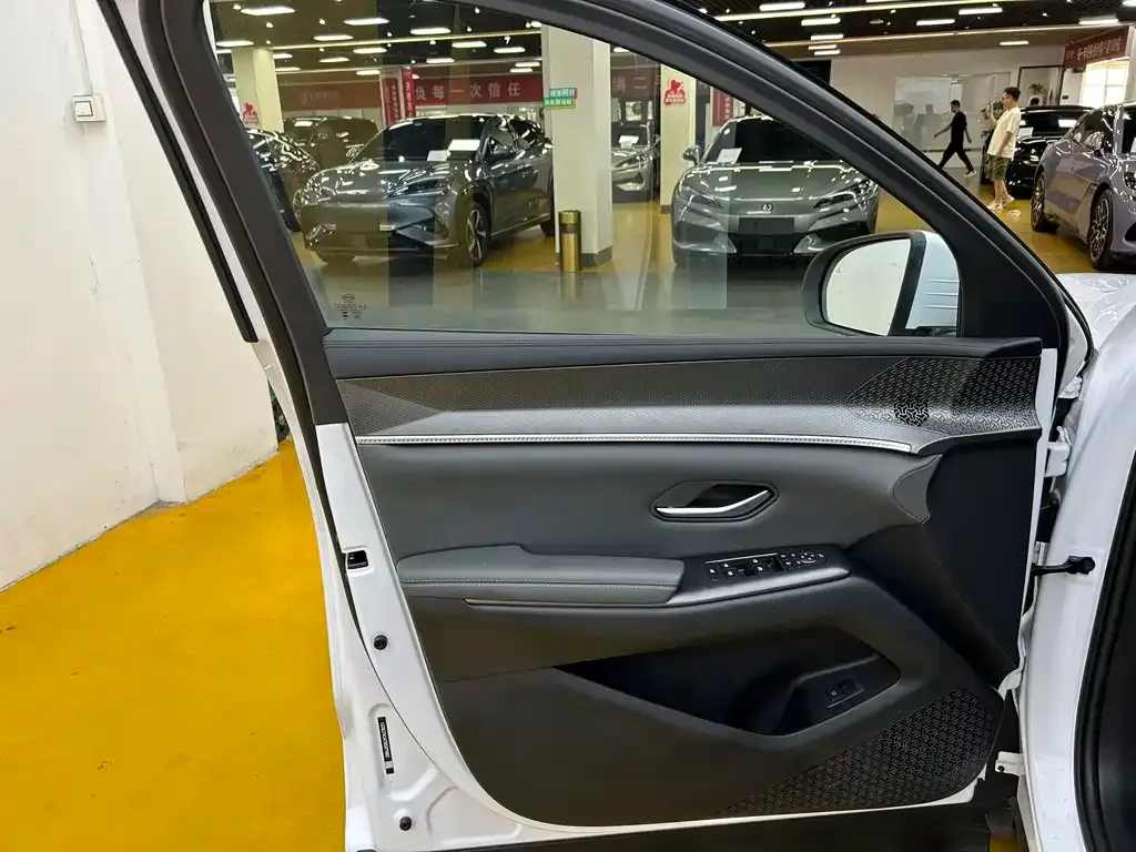BYD Pro New Energy — фото 4