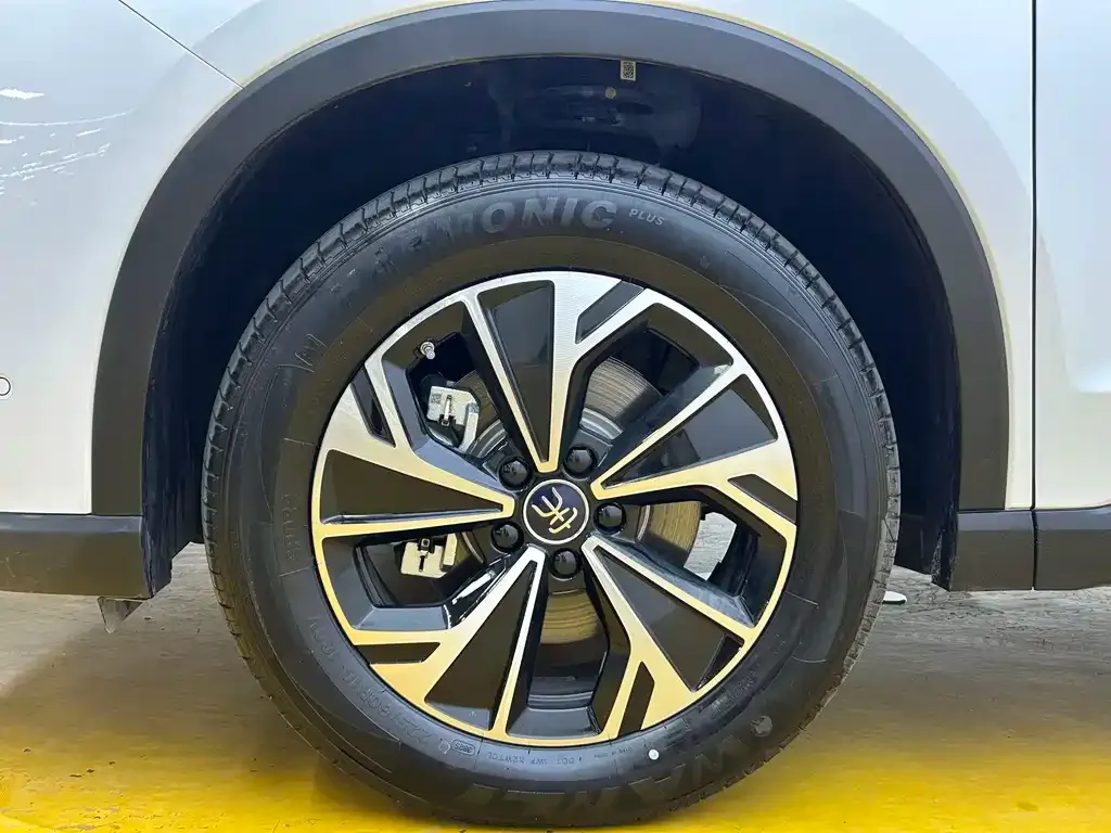 BYD Pro New Energy — фото 8