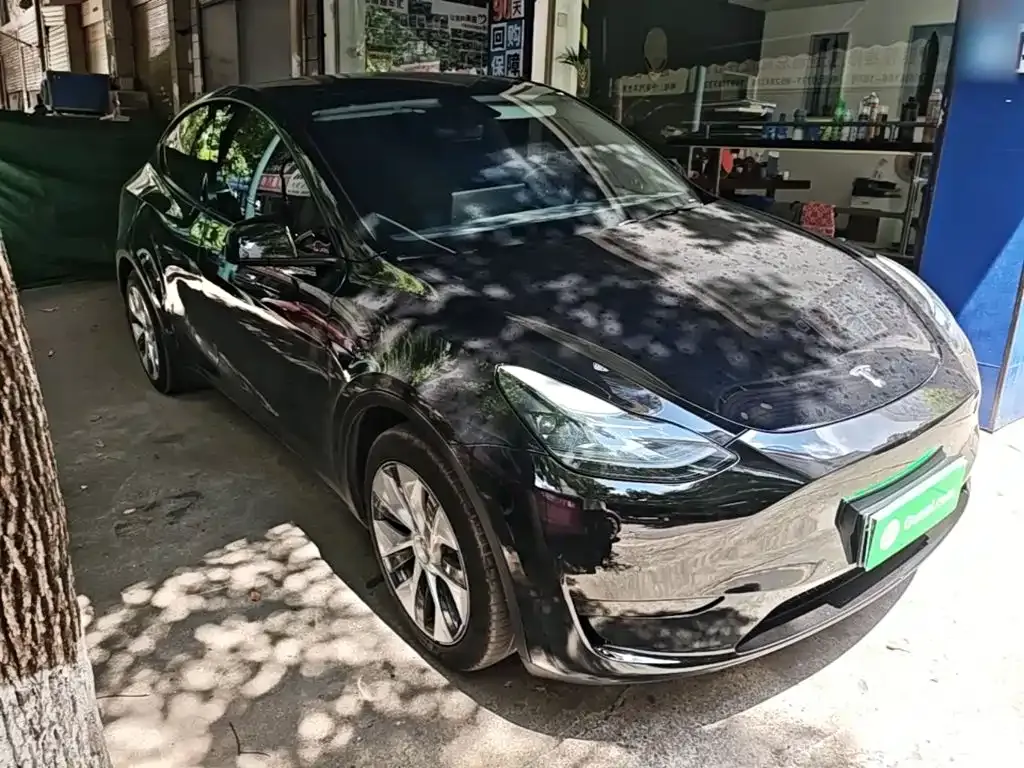 Tesla Model Y — фото 8