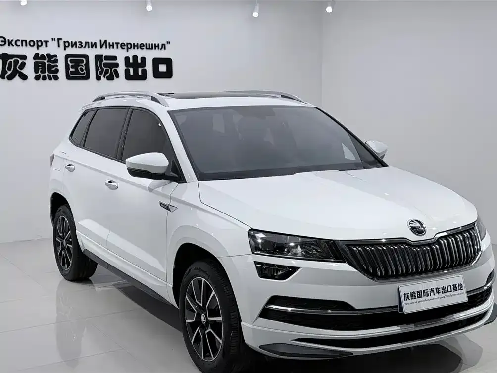 Skoda Karoq — фото 8