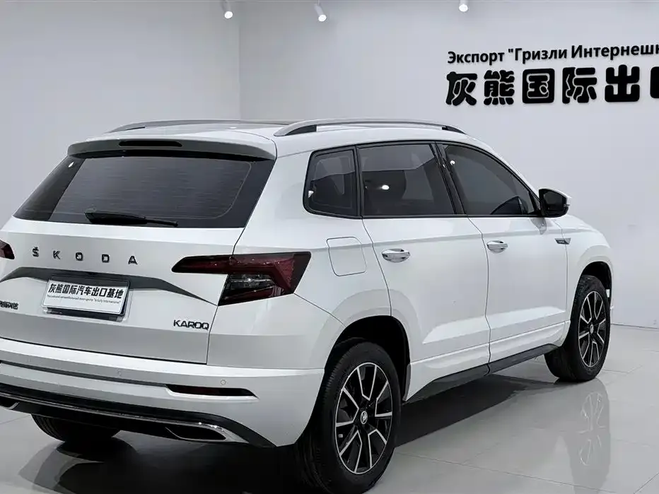 Skoda Karoq — фото 3