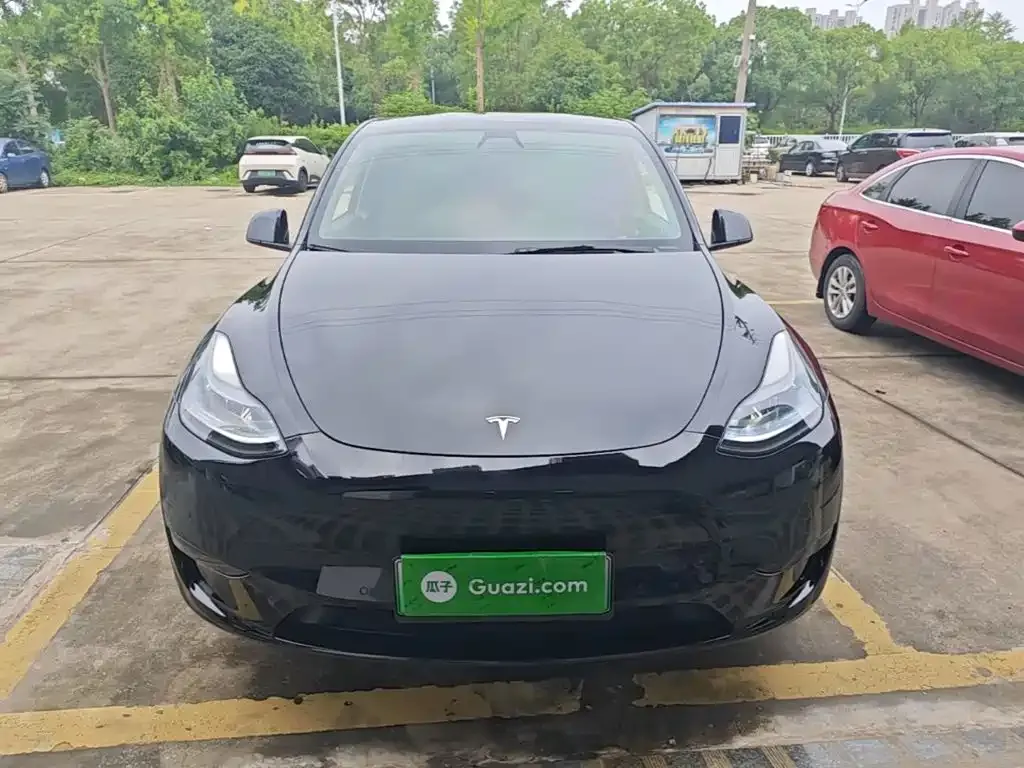 Tesla Model Y — фото 10