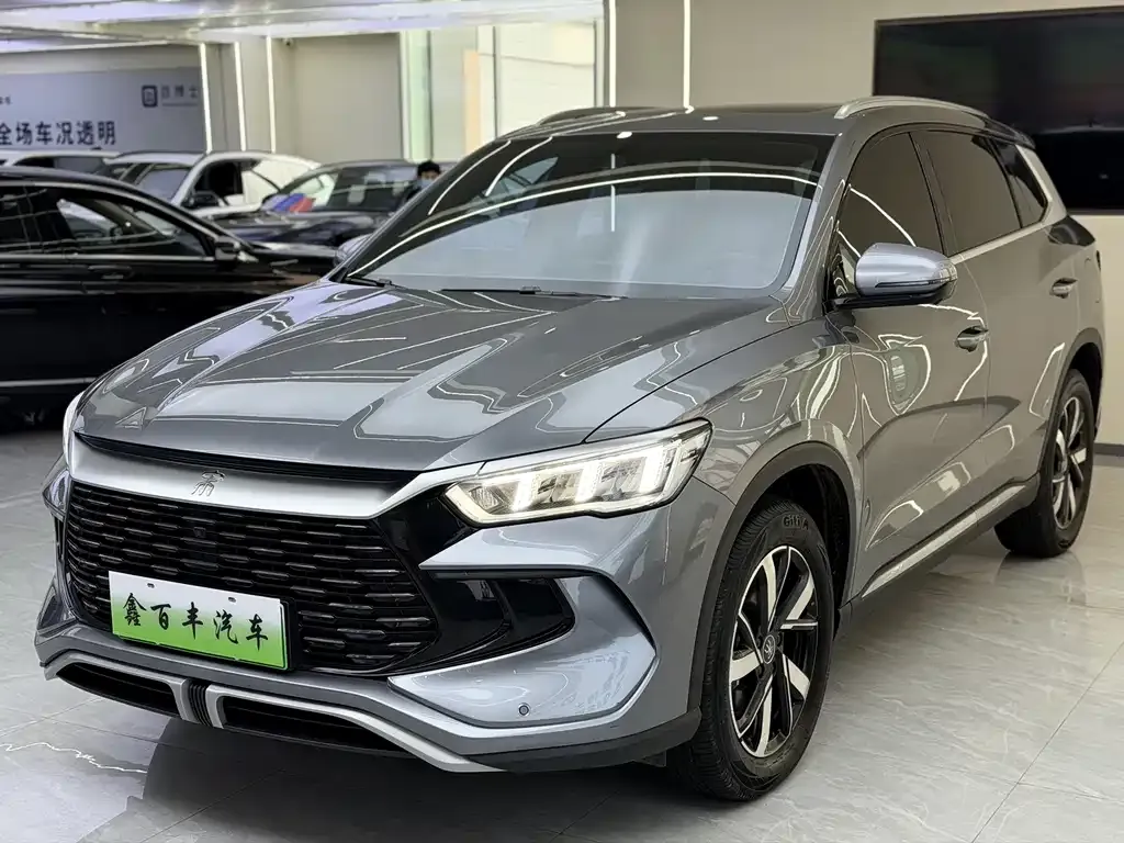 BYD Pro New Energy — фото 1