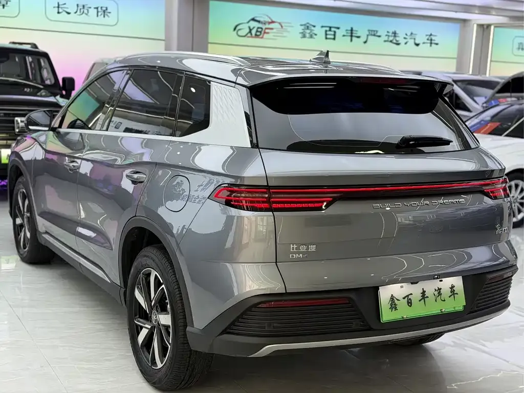 BYD Pro New Energy — фото 6