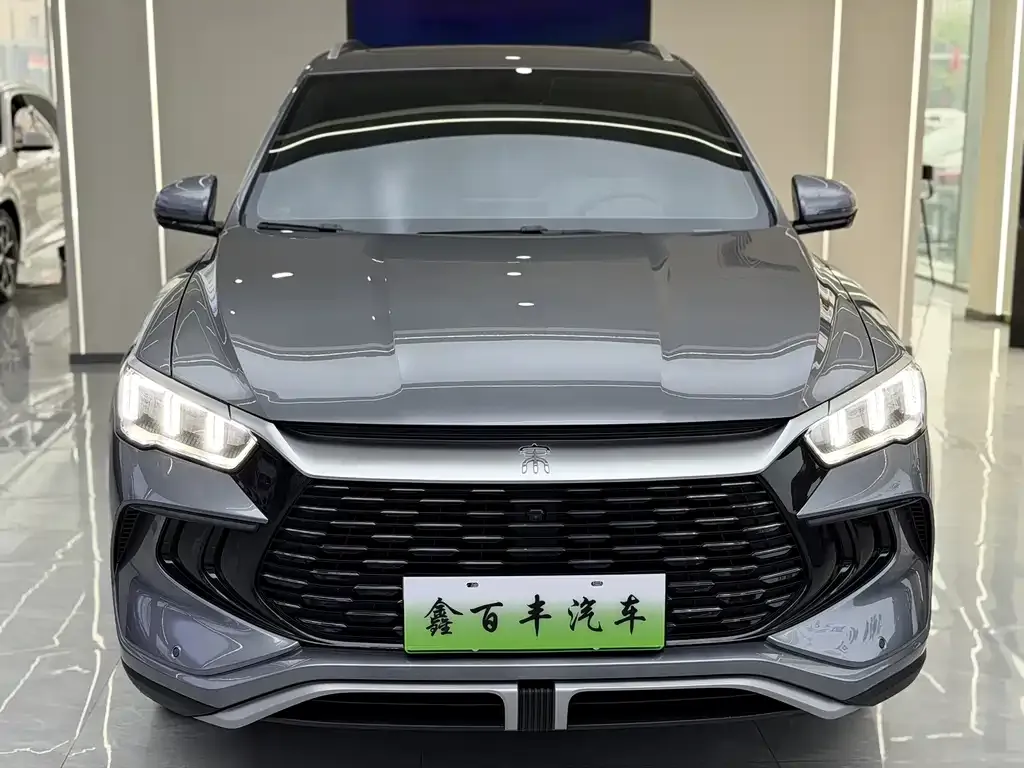 BYD Pro New Energy — фото 3
