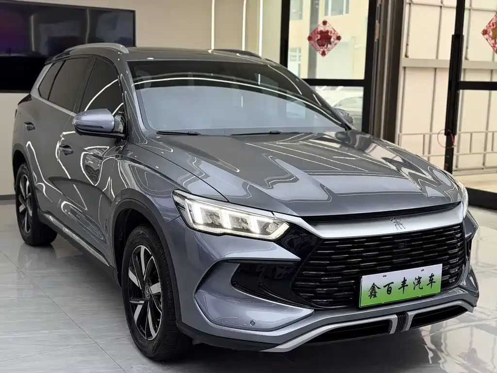 BYD Pro New Energy — фото 4