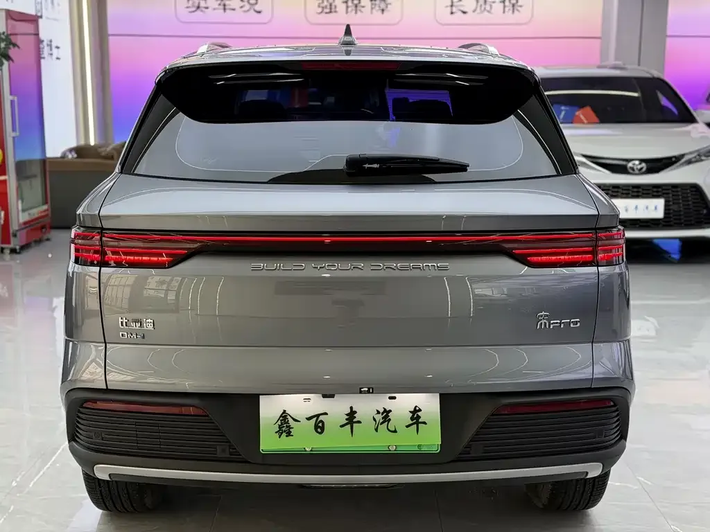 BYD Pro New Energy — фото 9