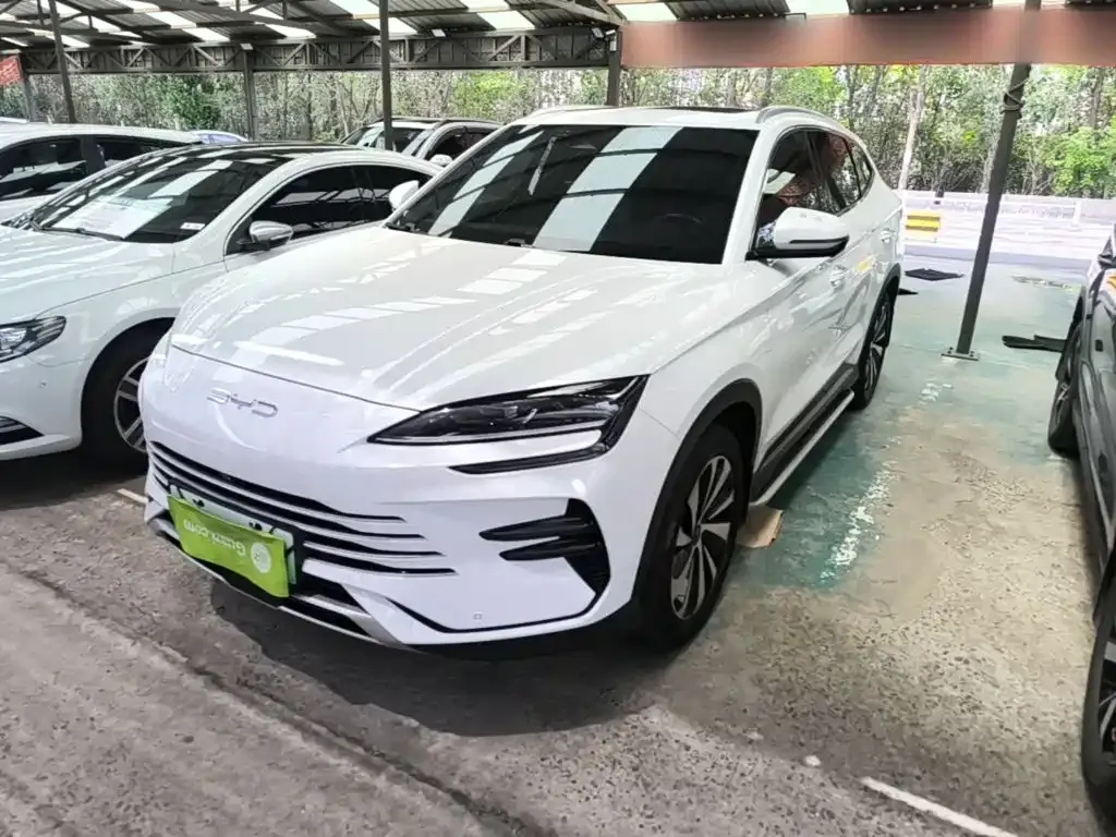 BYD PLUS New Energy — фото 3