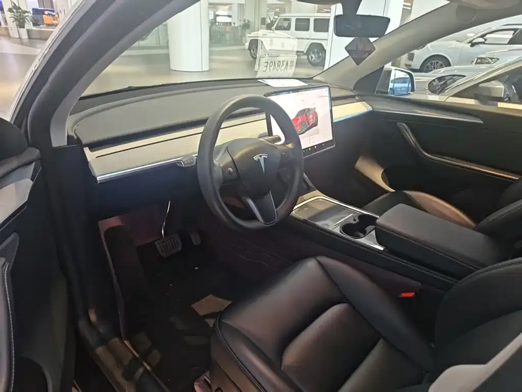 Tesla Model Y — фото 10