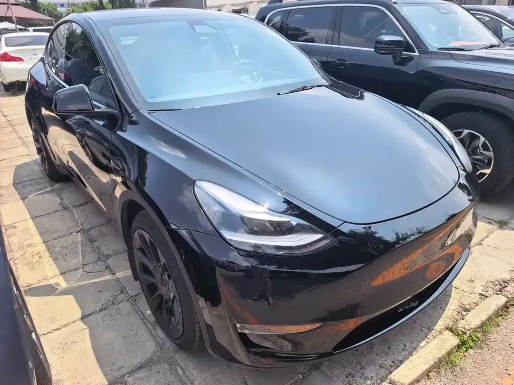 Tesla Model Y — фото 10